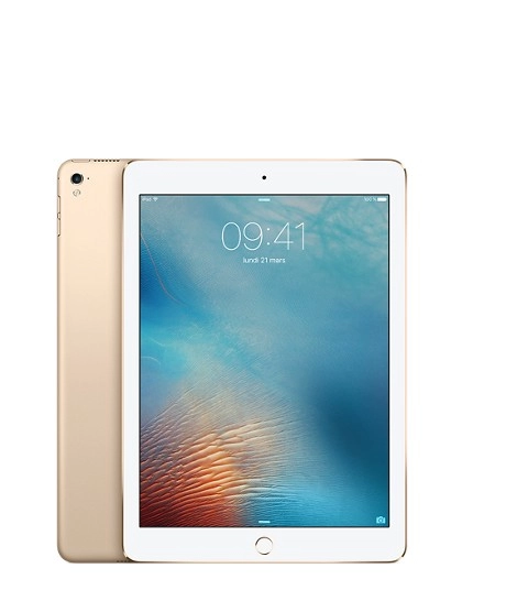 iPad Pro 256GB WiFi & 4G Gold